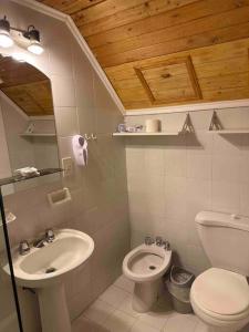 a small bathroom with a toilet and a sink at Departamento en el Valle Las leñas in Las Lenas