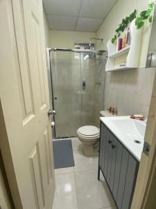 a bathroom with a shower and a toilet and a sink at Cozy & comfy house in La Chorrera