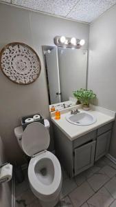 a bathroom with a toilet and a sink and a mirror at Fully Furnished Vicksburg Home Sleeps 10 in Vicksburg