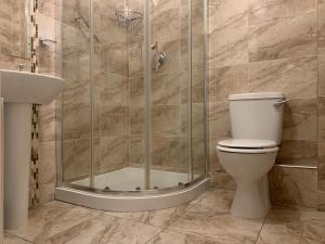 uma casa de banho com um chuveiro, um WC e um lavatório. em Boland's Accommodation Dingle em Dingle