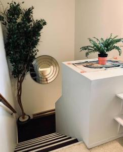 a room with two potted plants on a wall at Charming 2-BDRM Apt #4 with Balcony in Halifax