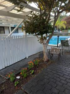 un árbol y un banco junto a una valla en Pinelodge en Opua