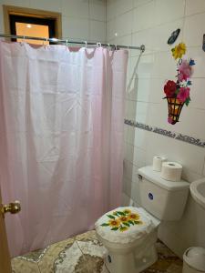 a bathroom with a pink shower curtain and a toilet at Valle Hermoso in Panguipulli
