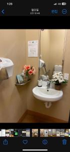 a bathroom with a sink and a mirror at Tomato Backpackers in Bundaberg