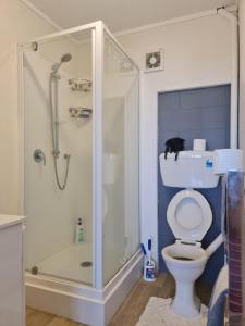 a bathroom with a shower and a toilet with a glass door at Hillcrest Villa in Auckland