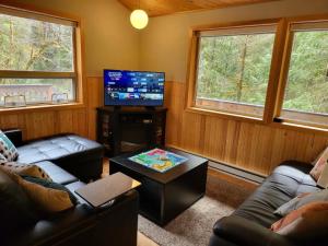 a living room with couches and a flat screen tv at Glacier Hideaway - Mt Baker Cabin - AC, Hot Tub, BBQ, Hiking, WiFi in Deming