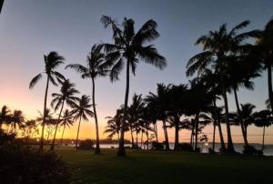 麥凱的住宿－Dolphin Heads - Resort Unit - Absolute Beachfront! - Whitsunday Getaway!，日落时分在海滩上种植的棕榈树