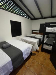 um quarto com quatro beliches em Bungalows Sloth em Manzanillo