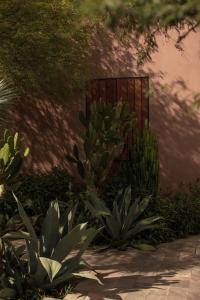 un jardín con plantas y una puerta en un edificio en Quinta Amores alojamiento, en San Miguel de Allende