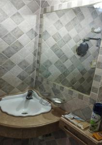 a bathroom with a sink and a shower at Plaza Libertad in Santiago del Estero