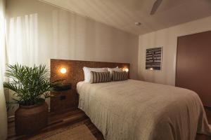 a bedroom with a bed and a potted plant at The Cheshire Cat Motel in Gold Coast