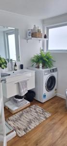 a kitchen with a washing machine and a sink at Reeves Retreat-Handy in Tasman in Nelson