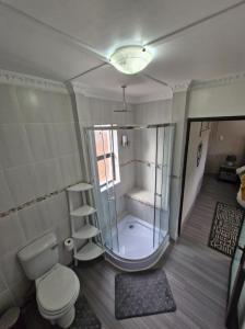 a bathroom with a shower and a toilet and a tub at Le-n-Biki Air B&B in Harrismith