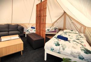 a room with a tent with a bed and a couch at Glamping at Zeehan Bush Camp in Zeehan