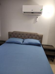 um quarto com uma cama com almofadas azuis e um aquecedor em Comfy and cozy em Kingston