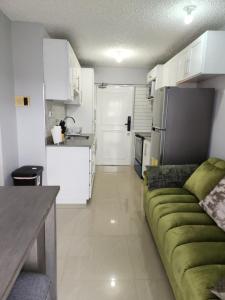 a living room with a green couch in a kitchen at Comfy and cozy in Kingston