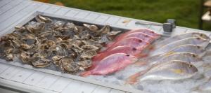 チャングーにあるMorabito Art Villaのテーブルの上に置かれた魚介類と魚のトレイ