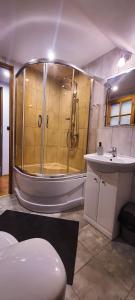 a bathroom with a shower and a sink at Jurajskie Manowce in Niegowa