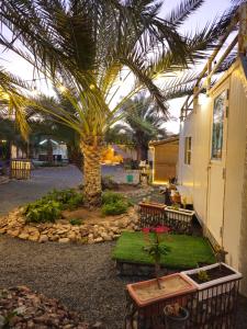 a palm tree in a yard next to a house at Hatta Farm caravan in Hatta