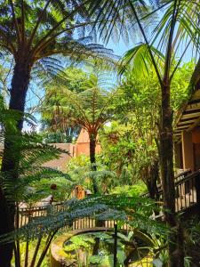 a garden with a pond and palm trees at Dar Amane Guest House in Graskop