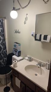 a bathroom with a sink and a mirror and a toilet at CCS LLC in Champaign