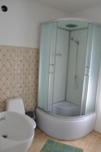 a bathroom with a shower and a toilet and a sink at Apartamentai Vilma in Palanga