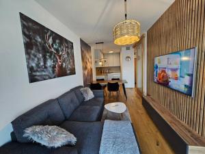 Μια τηλεόραση ή/και κέντρο ψυχαγωγίας στο Superior apartment s terasou 2 - Ski&Bike, Janské Lázně +51 φωτογραφίες