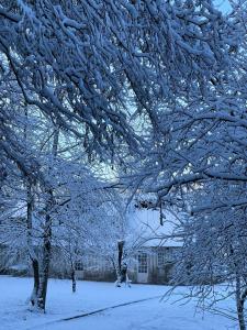 a tree covered in snow next to a house at LES 2 CHAUMIÈRES Piscine & Spa in Ablon