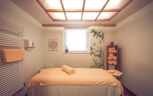 a bedroom with a bed with a skylight at Mountain Plaza Hotel in Davos