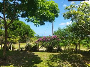 a park with trees and pink flowers in the grass at Casa de campo, perto da praia in Lucena