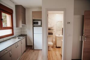 A kitchen or kitchenette at Poloestudios