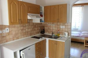 a small kitchen with wooden cabinets and a sink at Penzion Gomelská in Horní Stropnice