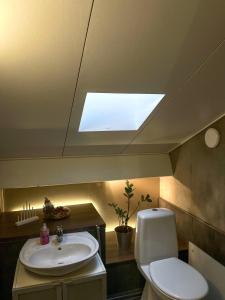 a bathroom with a sink and a toilet and a skylight at Old Town B&B Ida-Maria in Porvoo