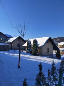 a house covered in snow with a tree in front at Garden 022 in Vrdnik