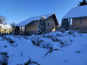 a house covered in snow with a christmas tree at Garden 022 in Vrdnik