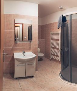 a bathroom with a sink and a shower and a toilet at Penzion V Maštali in Kněževes