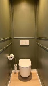 a bathroom with a toilet in a green wall at The Brick House - Appartement Monet in La Roche-Guyon +2 photos