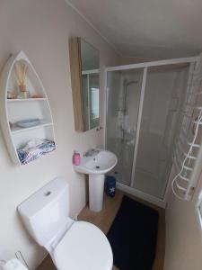 a bathroom with a toilet and a sink and a shower at Beach Resort Kamperland - 642 in Kamperland