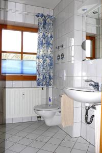 a bathroom with a sink and a toilet at Florian in Garmisch-Partenkirchen