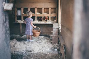 Hosté ubytování Obersulzberggut