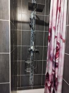 a shower in a bathroom with a red shower curtain at La bonne escale in Paray-Vieille-Poste