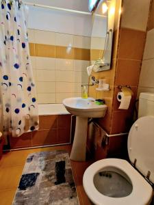 a bathroom with a sink and a toilet and a mirror at Sabina Apartment in Sighişoara +4 photos