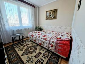 a small bedroom with a bed and a window at Sabina Apartment in Sighişoara