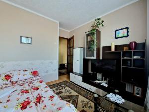 a bedroom with a bed and a flat screen tv at Sabina Apartment in Sighişoara