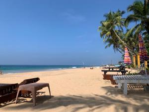 a beach with benches and palm trees and the ocean at Tamaro Beach Resort in Hikkaduwa