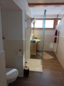 a bathroom with a shower and a toilet and a sink at Chalet Leni in Schladming