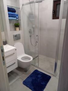 Un baño con inodoro y ducha de cristal. en Pool Villa Topla, en Herceg-Novi 15 fotos más