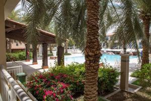 a palm tree in front of a swimming pool at Frank Porter - Lake Apartment in Dubai