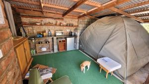 ein Zelt in einer Küche mit einem Hund auf dem Boden in der Unterkunft Aberdeen Self Catering in Aberdeen
