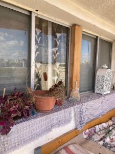 a window with potted plants on a window sill at The park and the Lake in Beer Sheva